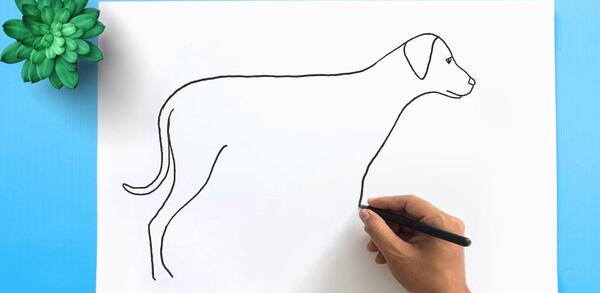 عکس سگ نقاشی بچه گانه
