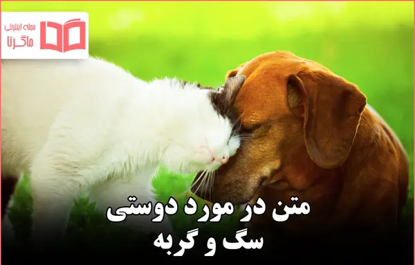 عکس سگ و گربه واقعی