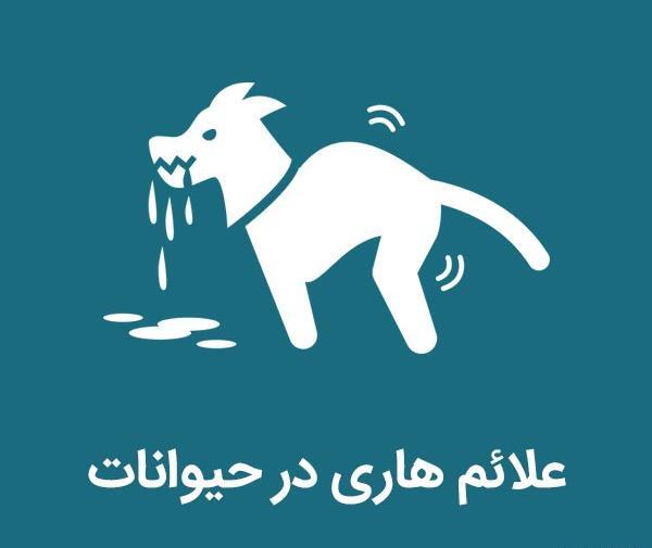 عکس سگ هاری