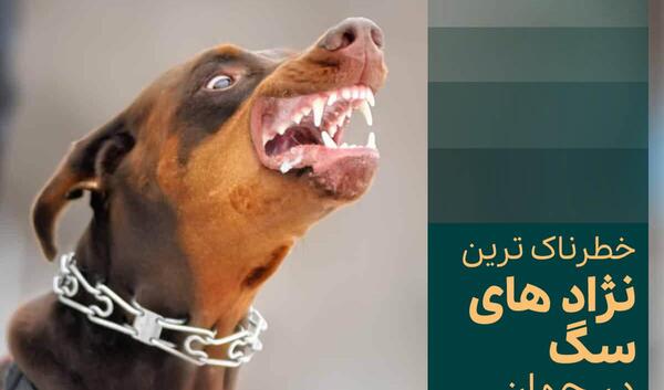 عکس سگ هار و وحشی
