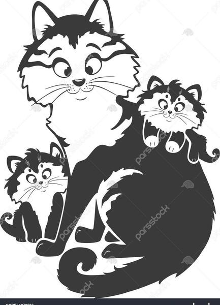 عکس سیاه سفید بچه گربه