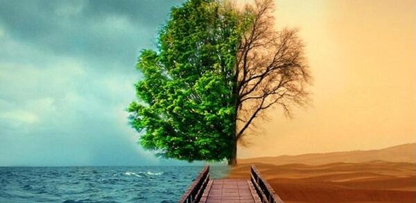 عکس زشتی و زیبایی طبیعت