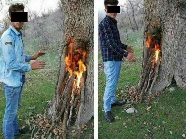 عکس زشتی و زیبایی طبیعت