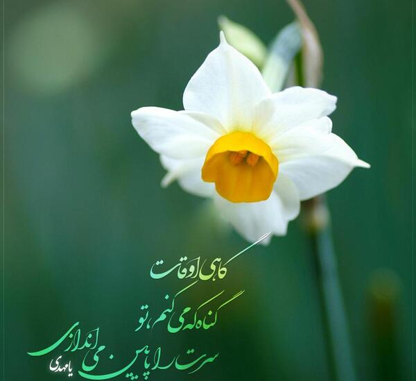 عکس زمینه گوشی امام زمانی
