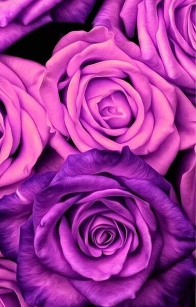 عکس برای پس زمینه گوشی بنفش