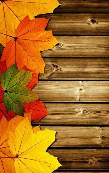 عکس پس زمینه گوشی پاییزی