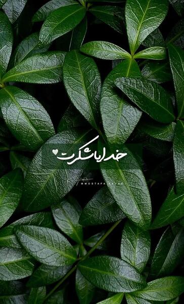 عکس تصویر زمینه گوشی خدایا شکرت