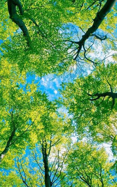 عکس های زمینه گوشی خوشگل