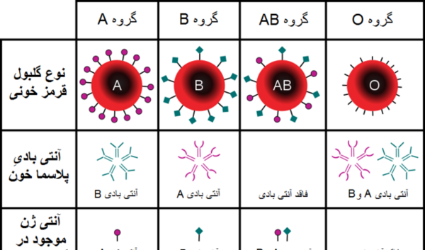 عکس گروه خونی بمبئی