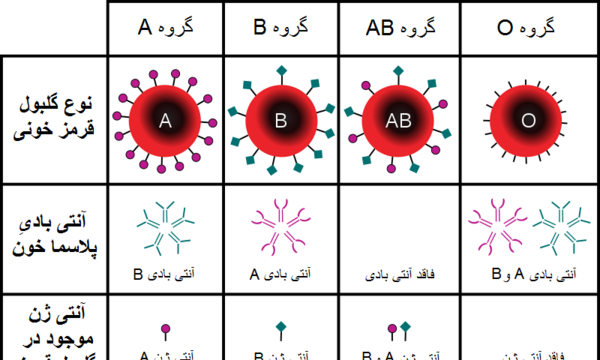 عکس تعیین گروه خونی