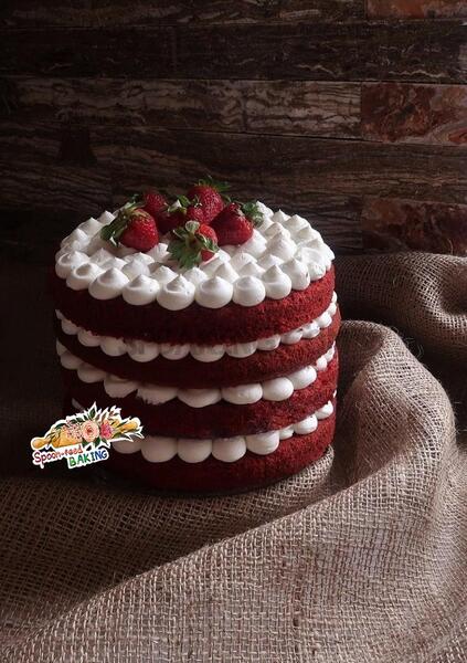 عکس گروه ردولوت با اسم