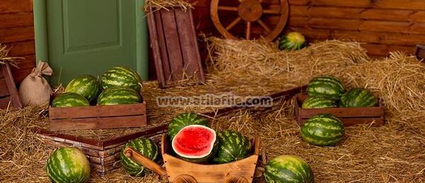عکس پس زمینه یلدایی برای فتوشاپ