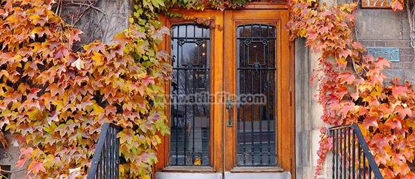 عکس پس زمینه آتلیه برای فتوشاپ