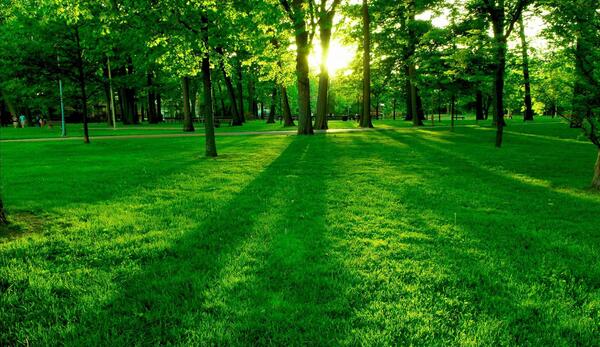 عکس برای فتوشاپ منظره