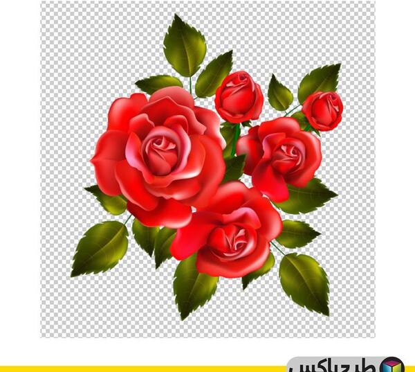 عکس برای فتوشاپ گل