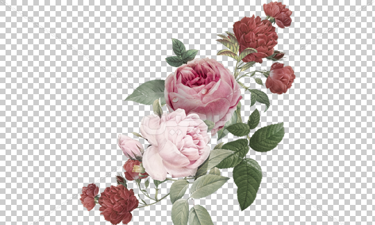 عکس برای فتوشاپ گل
