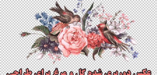 عکس برای فتوشاپ گل