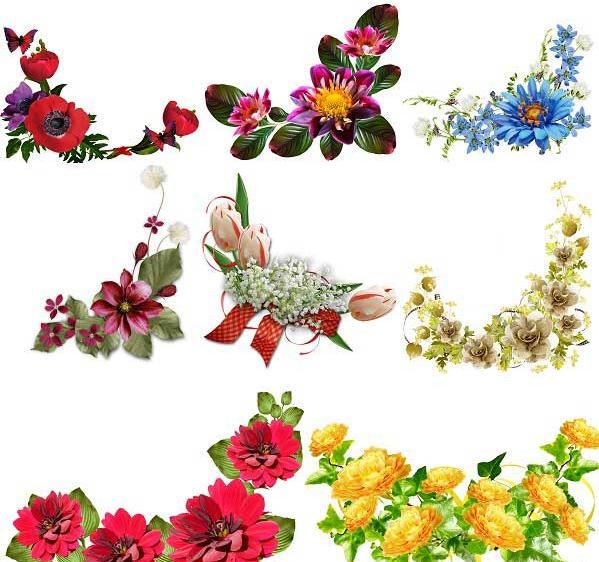 عکس برای فتوشاپ گل