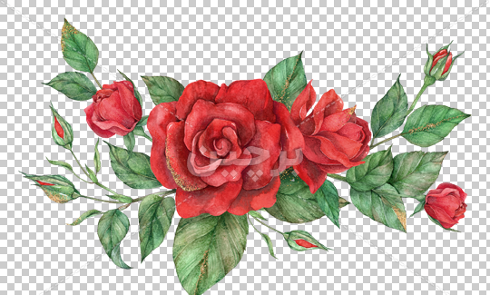 عکس برای فتوشاپ گل