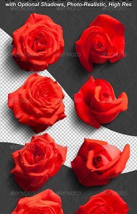 عکس برای فتوشاپ گل