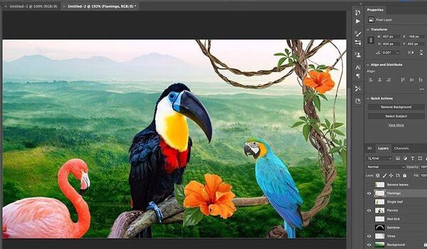 چگونه بفهمیم یک عکس فتوشاپ است