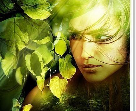 چگونه یک عکس را در فتوشاپ لایه باز کنیم