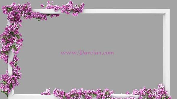 قاب عکس برای فتوشاپ حرفه ای