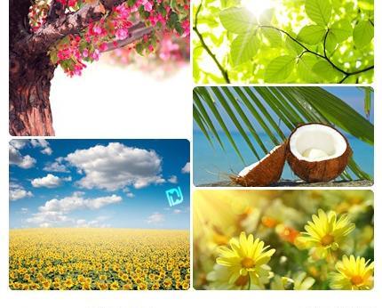 عکس طبیعت فتوشاپ