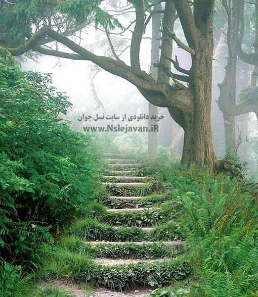 صحنه عکس برای فتوشاپ