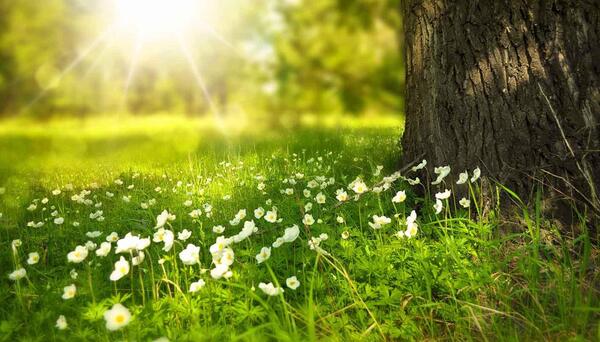 صحنه عکس برای فتوشاپ