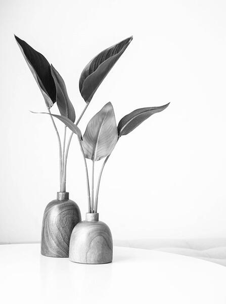 چگونه در فتوشاپ عکس سیاه سفید کنیم