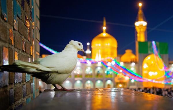 فتوشاپ عکس در حرم امام رضا