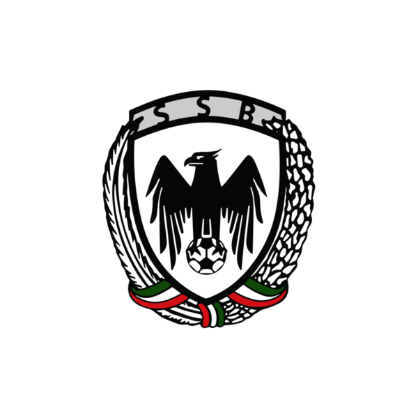 عکس آرم تیم شاهین