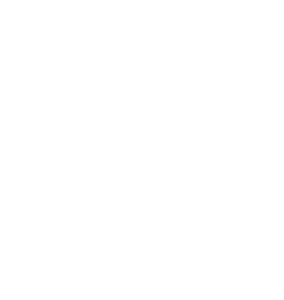 عکس مارک تیم پیکان