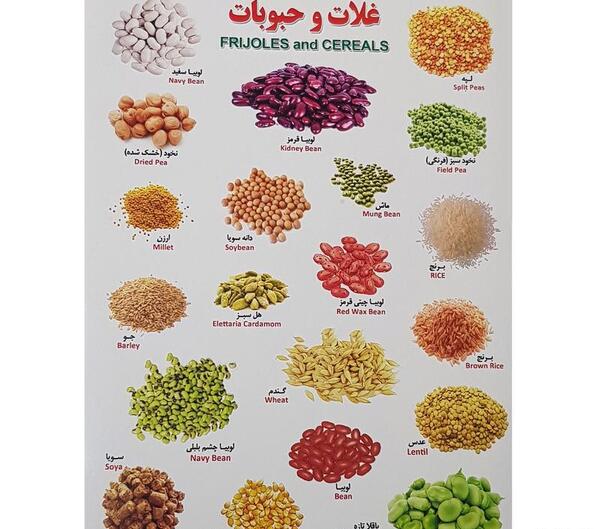 عکس گروه غلات کارتونی