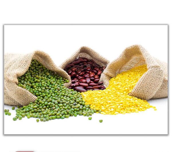عکس گروه غلات کارتونی