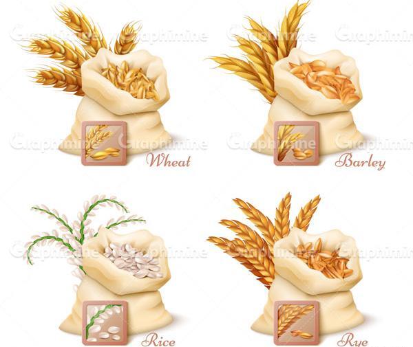 عکس گروه غلات کارتونی