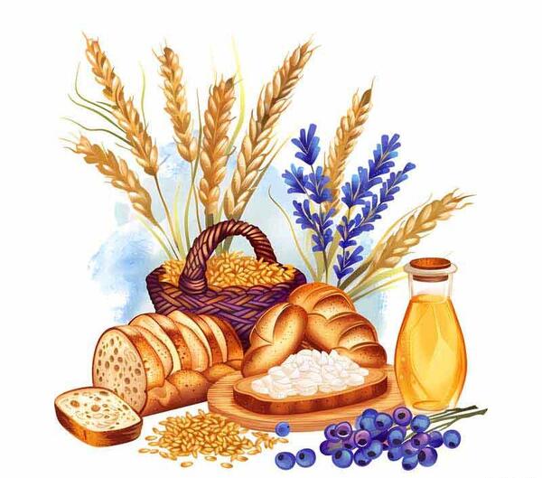 عکس گروه غلات کارتونی