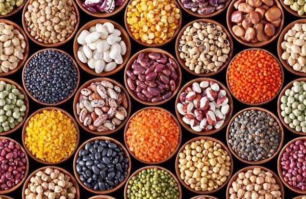 عکس گروه غلات کارتونی