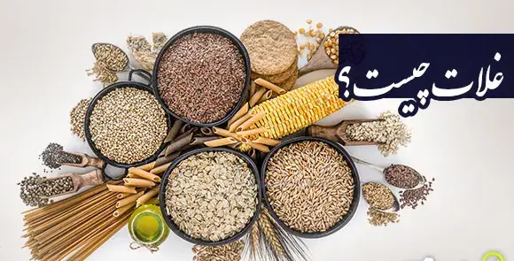 عکس گروه غلات کلاس سوم