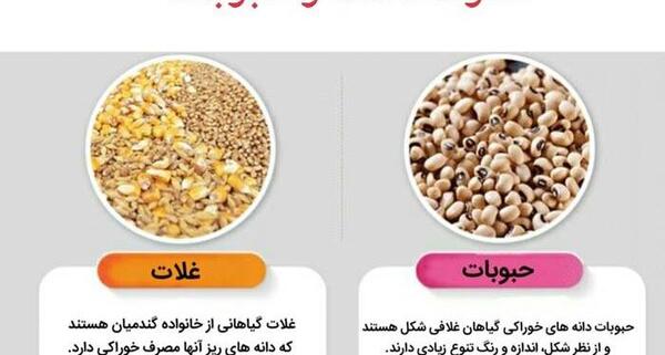 عکس گروه غلات کلاس سوم
