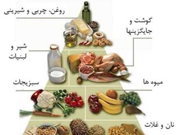 عکس نقاشی گروه غلات