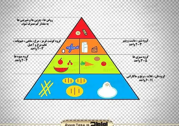 عکس نقاشی گروه غلات