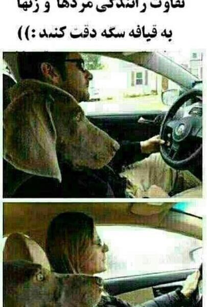 عکس برای گروه فان