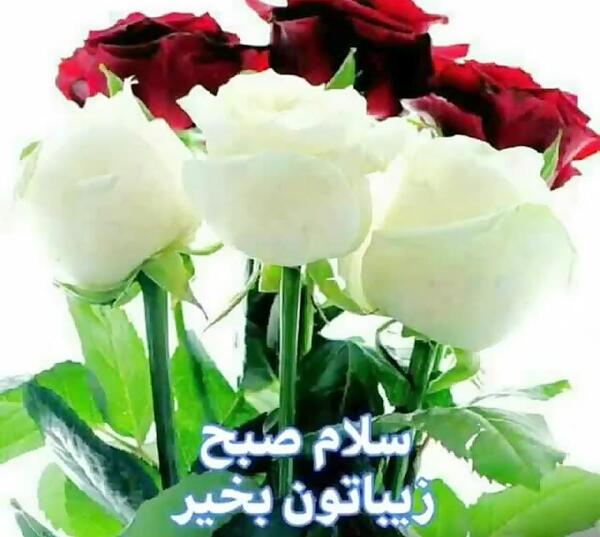 عکس سلام صبح بخیر به اعضای گروه