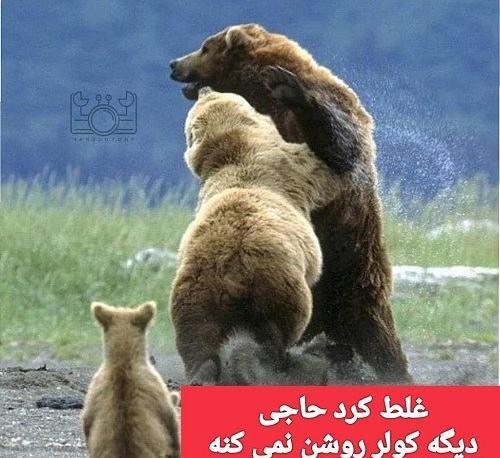 عکس برای گروه دوستانه مسخره