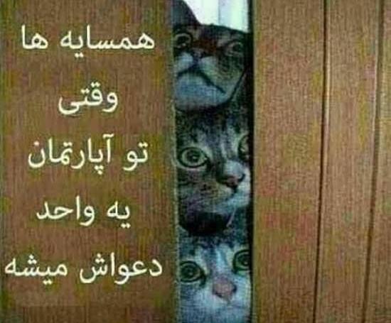 عکس پروفایل برای گروه همسایه ها