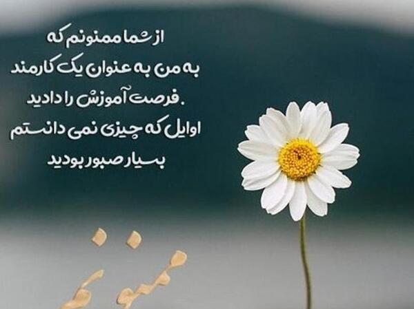 عکس پروفایل گروه همکاران