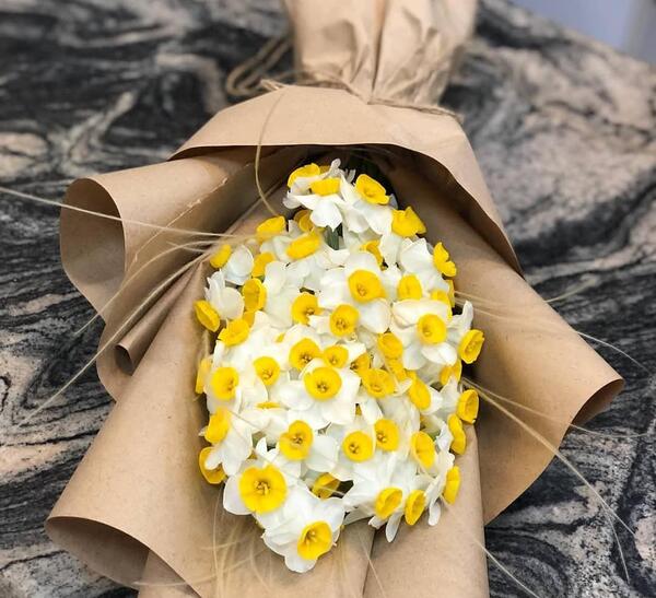 عکس گروه گل نرگس