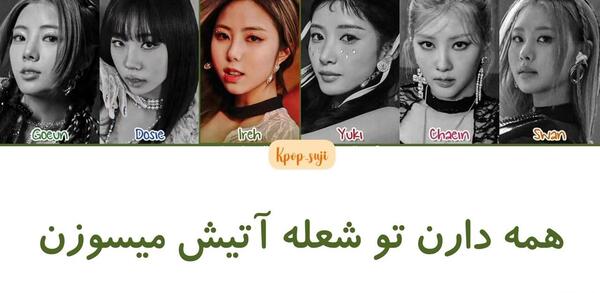 عکس گروه پرپل کیس